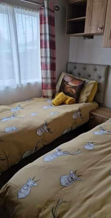 Cairn View Chalet Villa Aviemore Dış mekan fotoğraf